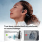 Sanag B22S Bluetooth 5.3 Bone Conduction Wireless Sports Earphones