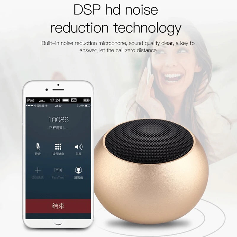 Bluetooth Wireless Speakers TWS Handfree Portable